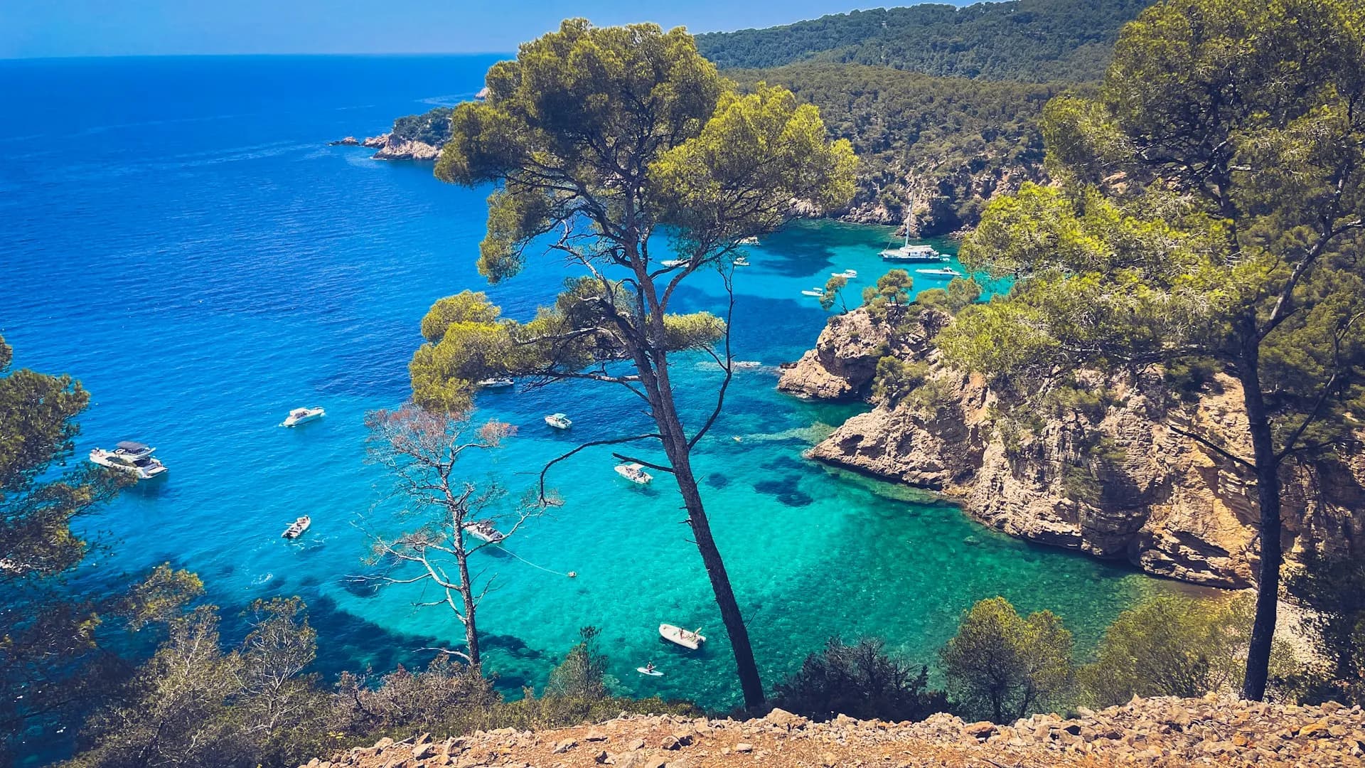 Immobilier à Saint-Cyr-sur-Mer : villas pieds dans l'eau et maisons entre mer et collines