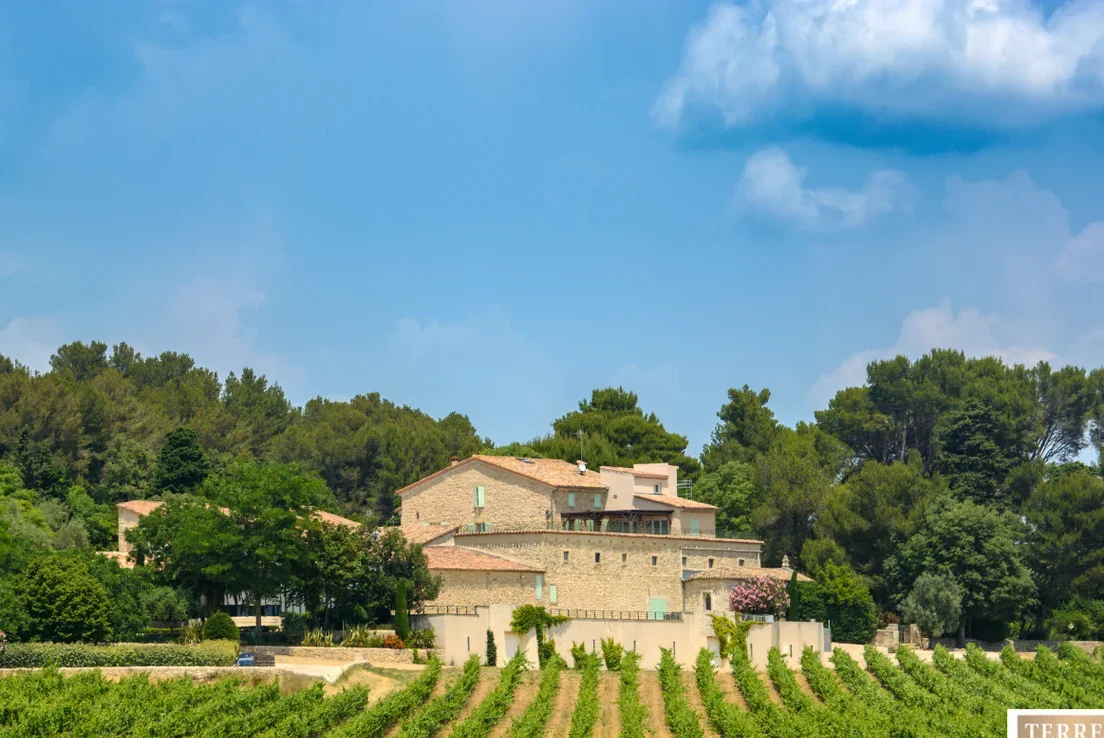 Domaine viticole Terres de Domaines